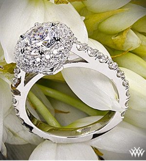 18k White Gold Rounded Pave Halo Diamond Engagement Ring