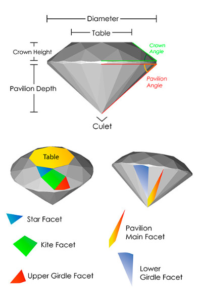 diamond anatomy